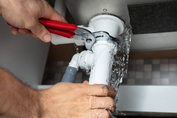 Best Mold removal after water damage  in Schwenksville, PA