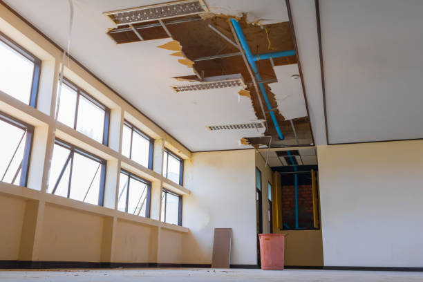 Best Carpet water damage restoration  in Schwenksville, PA