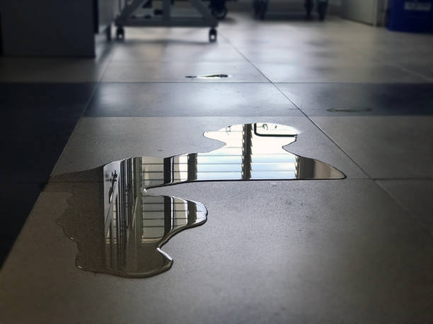 Best Commercial water damage restoration  in Schwenksville, PA