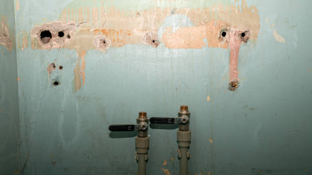 Best Flood restoration services  in Schwenksville, PA