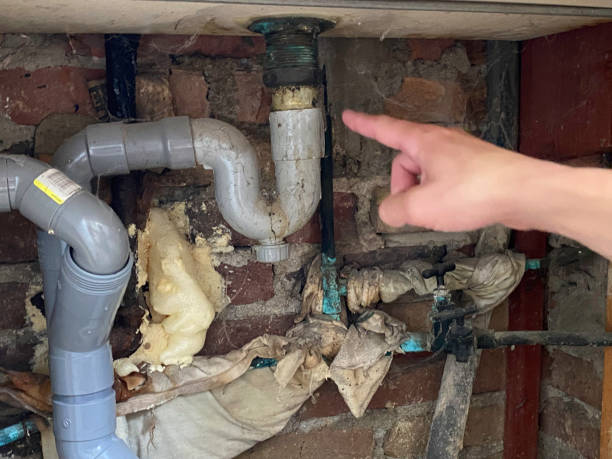 Best Flood damage cleanup  in Schwenksville, PA