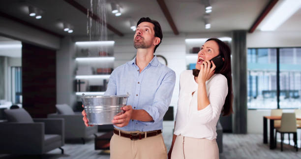 Best Carpet water damage restoration  in Schwenksville, PA